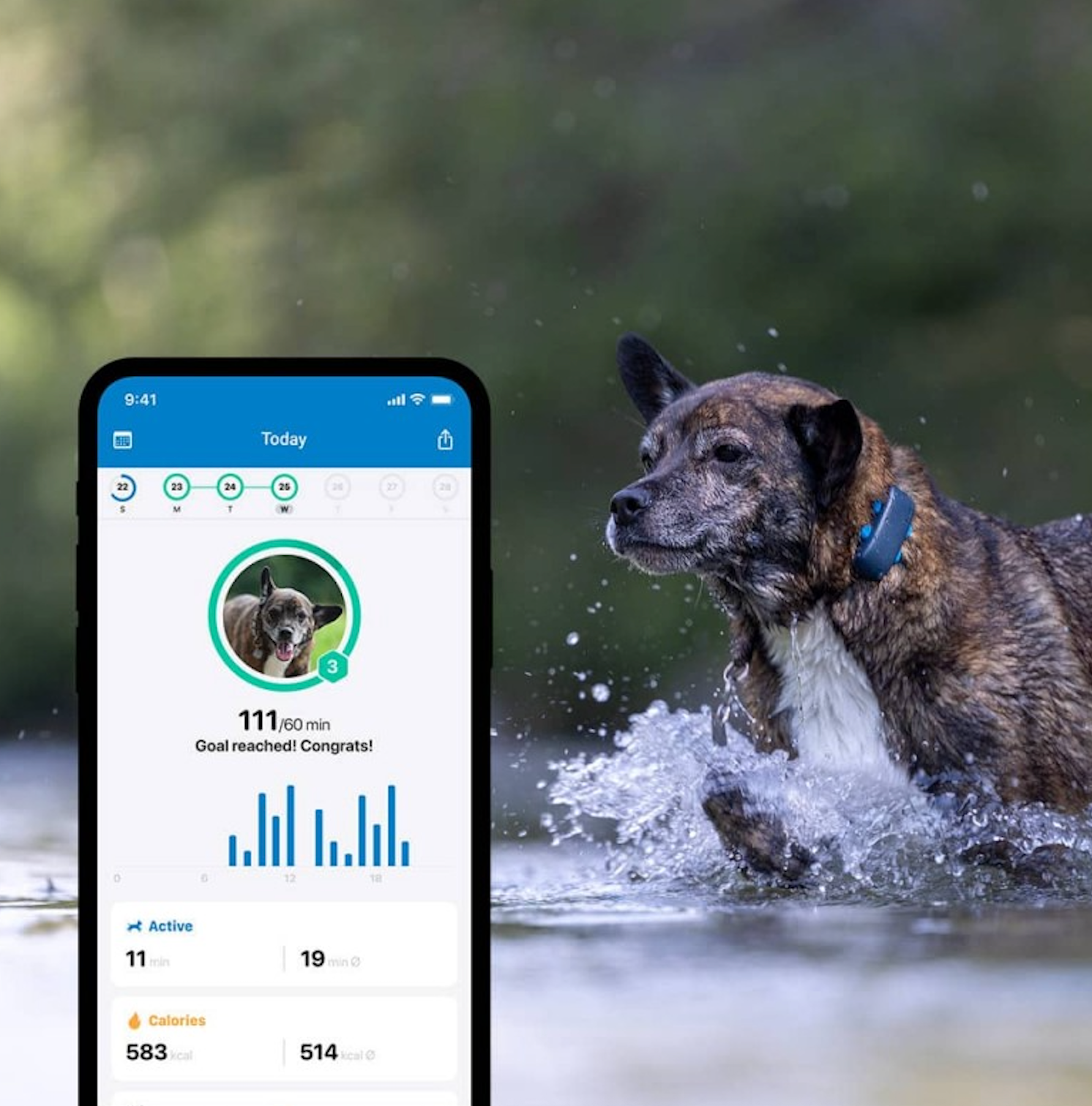 Tractive GPS Dog 4 – Collier GPS pour chien (Bleu nuit)