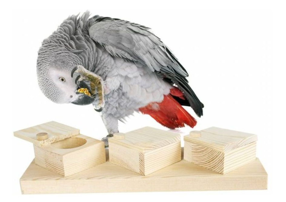 Tasses d’entraînement cérébral – Back Zoo Nature (22,5 × 8 cm)