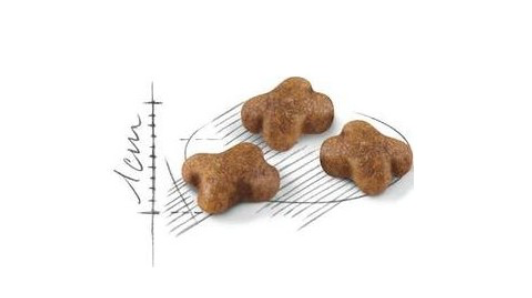 Royal Canin Kitten – Sac 2 kg