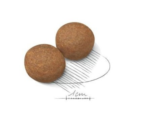 Royal Canin Maxi Adult – 4 kg