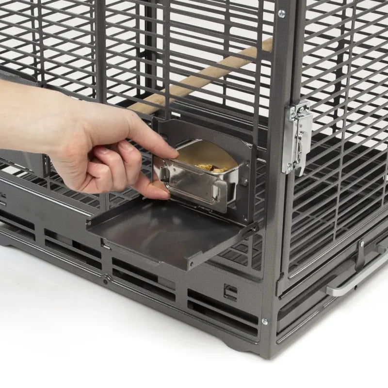 Cage de transport pour perroquet – Wagner