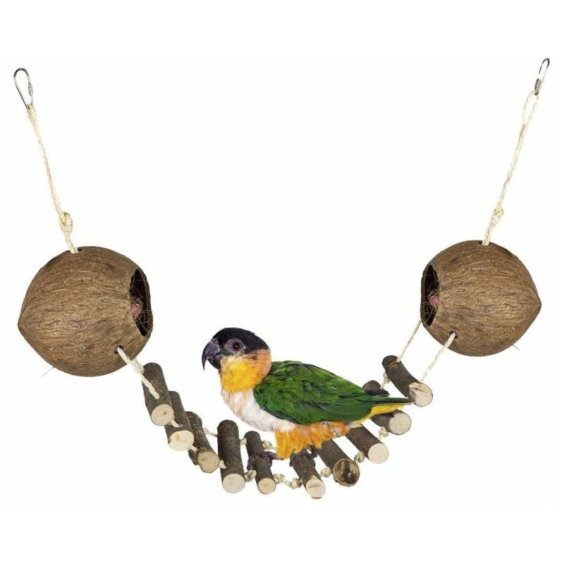 Double Coconut – Back Zoo Nature (10,4 × 11 × 12 cm)