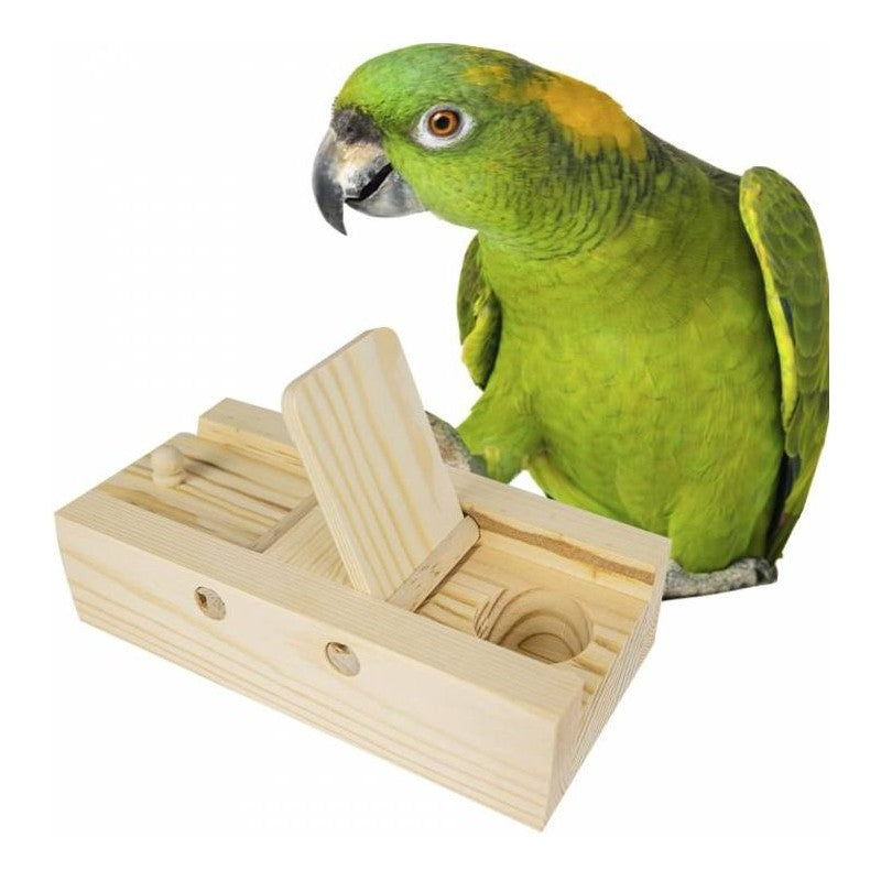 Back Zoo Nature Brain Trainer Flaps (17,5 × 8 cm)