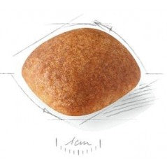 Golden Retriever adult 3kg - Royal Canin