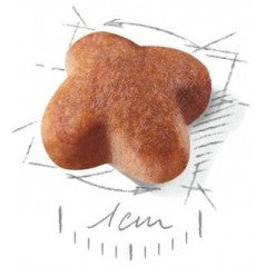 Jack Russell Terrier Adult 7,5kg - Royal Canin