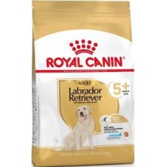 Labrador Retriever Adult 5+ 3kg - Royal Canin