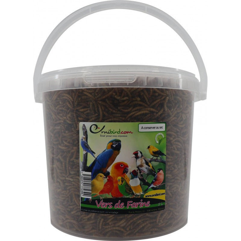Mealworm – vers de farine déshydratés (seau 5 L) – Ornibird