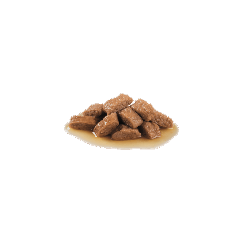 Royal Canin Medium Adult – 10 × 140 g