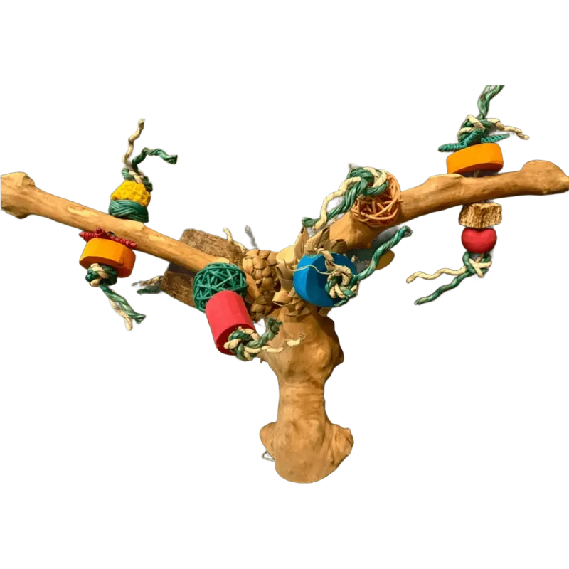 Multi Perchoir Avec Jouet Small - Parrots & Toys