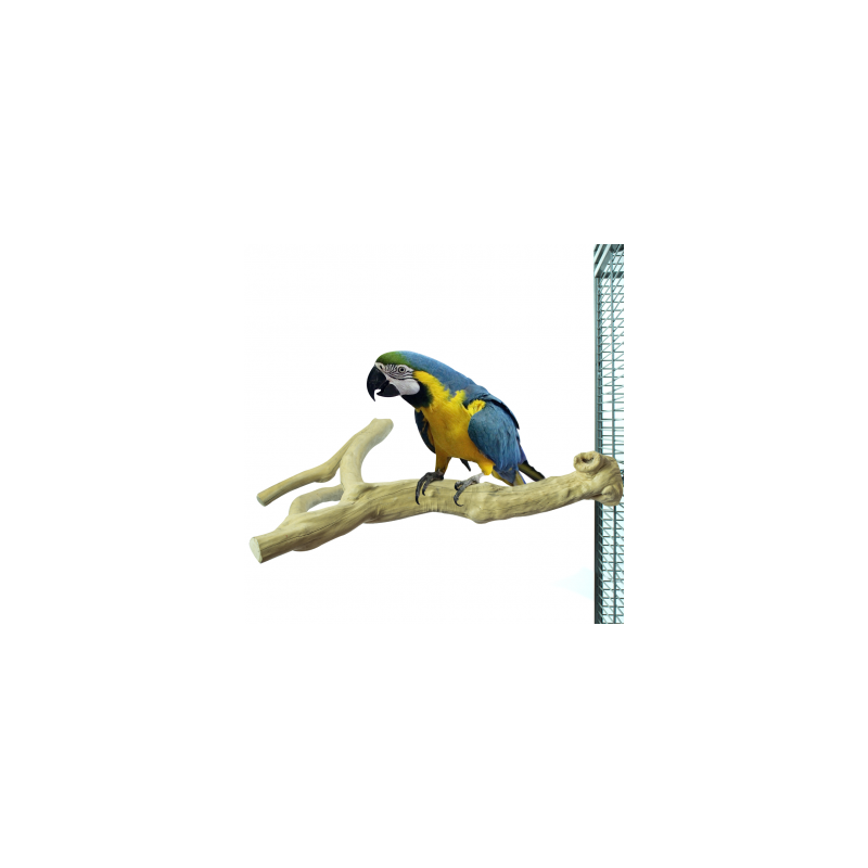 Perchoir Java Multi Perch Premium 45‑70 cm – Back Zoo Nature (XL)