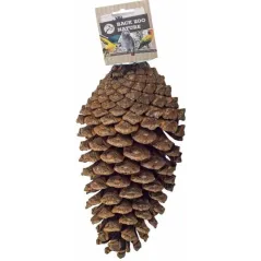 Pomme de Pin Fourrage