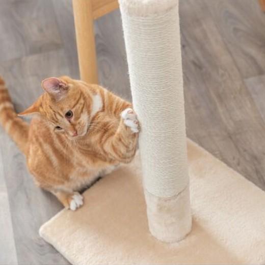 BATRES - Arbre à chat