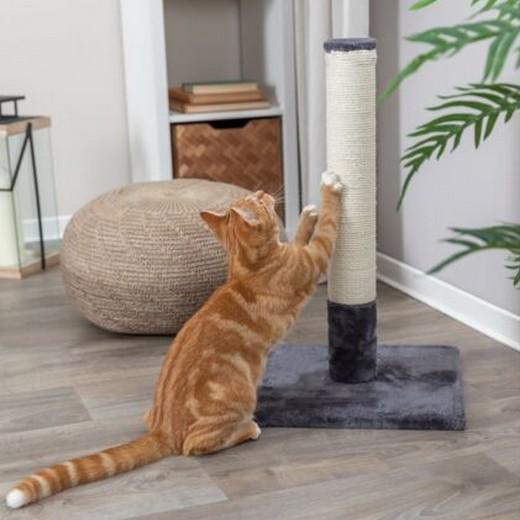 BATRES - Arbre à chat