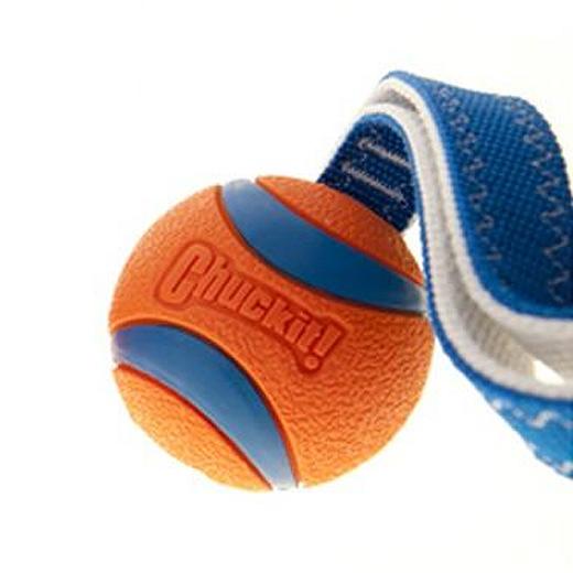 Chuckit, jouet sport pour chien