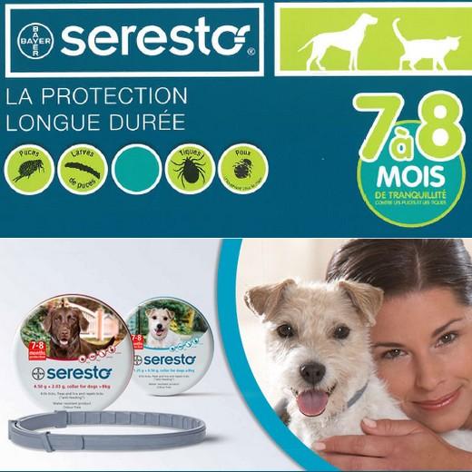 Seresto, collier anti parasitaire pour chien PETIT CHIEN