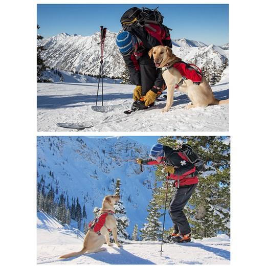 Harnais / Sac de bat TAILLE L / XL