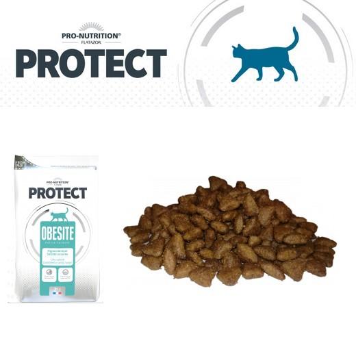 Pro Nutrition Protect, croquettes vétérinaire pour chat 2KG