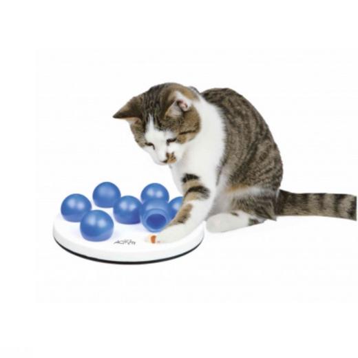 Jouets pour chat