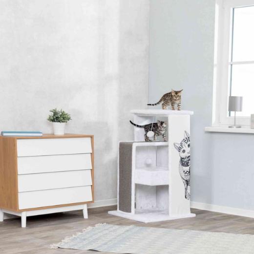 Moins de 100 cm de haut, Arbre à chat