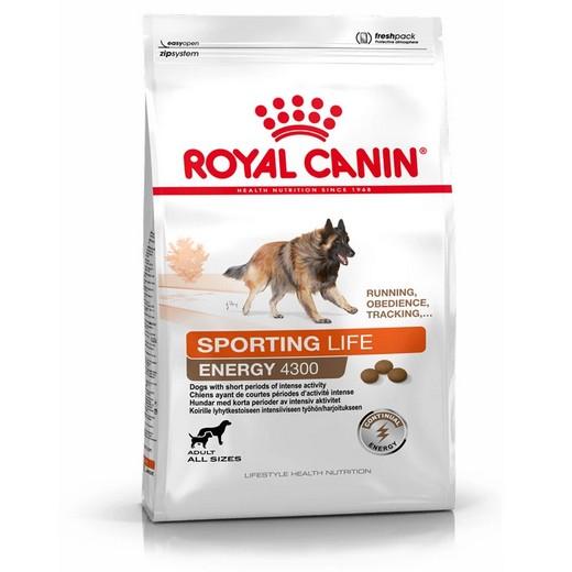 Energy 4300 - Royal Canin 15KG