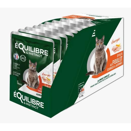 Equilibre et Instinct - Emincés chat, poulet courges et agrumes