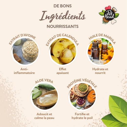 Shampooing Pet Head pour chien