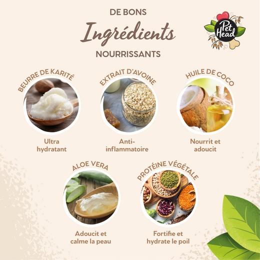 Crème All Paws Butter OATMEAL pour pattes et truffe 40g - PET HEAD