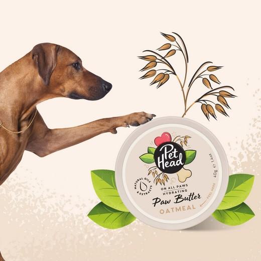 Crème All Paws Butter OATMEAL pour pattes et truffe 40g - PET HEAD