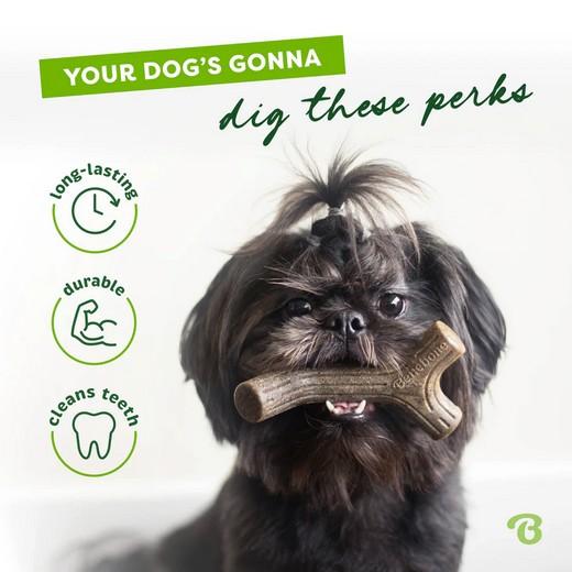 BENEBONE, jouets pour chien 20CM