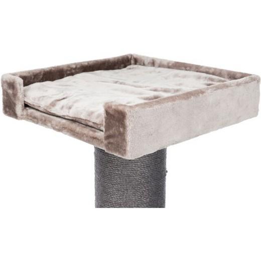 De 100 cm à 199 cm de haut, Arbre à chat