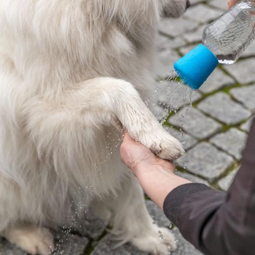 Hygiène, Shampooing, Soins