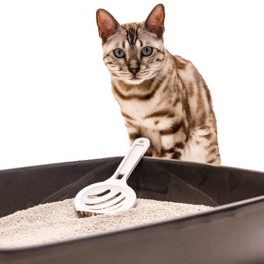 Litière agglomérante PEARL 400%