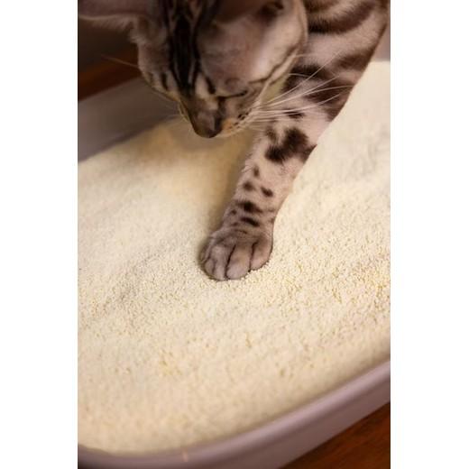 Litière agglomérante VEGETAL 350%