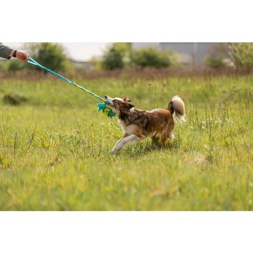 Cordon élastique pour tracter