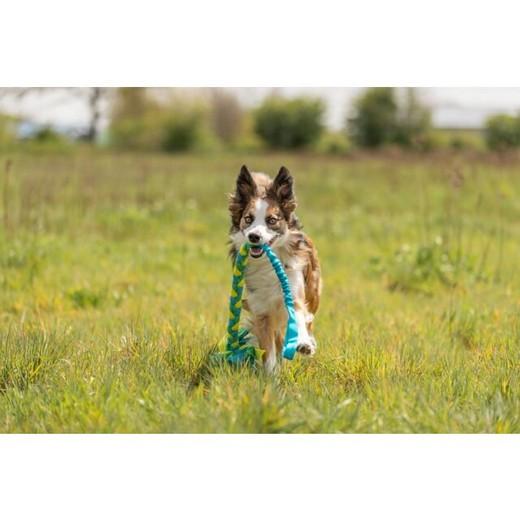 Cordon élastique pour tracter